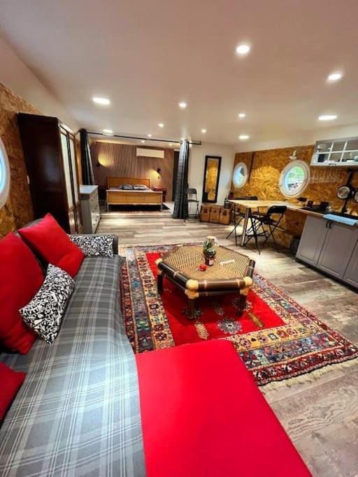 Magnifique Peniche Cosy Et Spacieuse A 圖盧茲 外观 照片